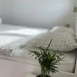 Trio 皮耶什佳尼